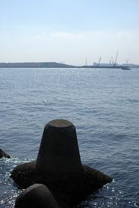 海を望む