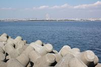 葛西臨海公園を望む